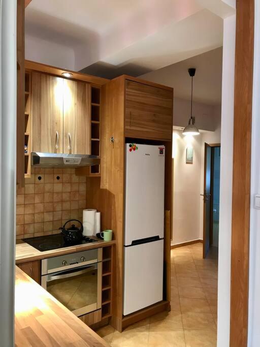 Big Flat, City Center, Warynskiego Apartment Varşovia Exterior foto